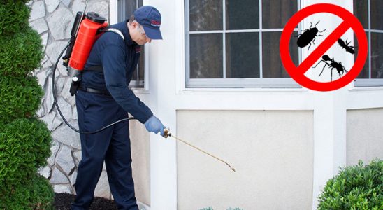Mezitli Hamam Böceği İlaçlama böcek ilaçlama ve haşere kontrolü — ilaclama-tr.com